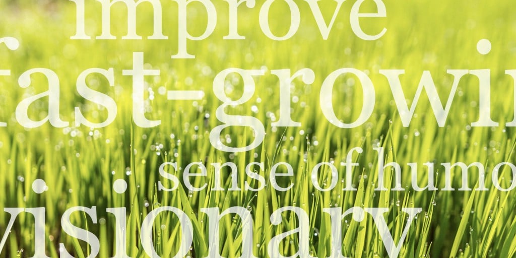 Word cloud over grass