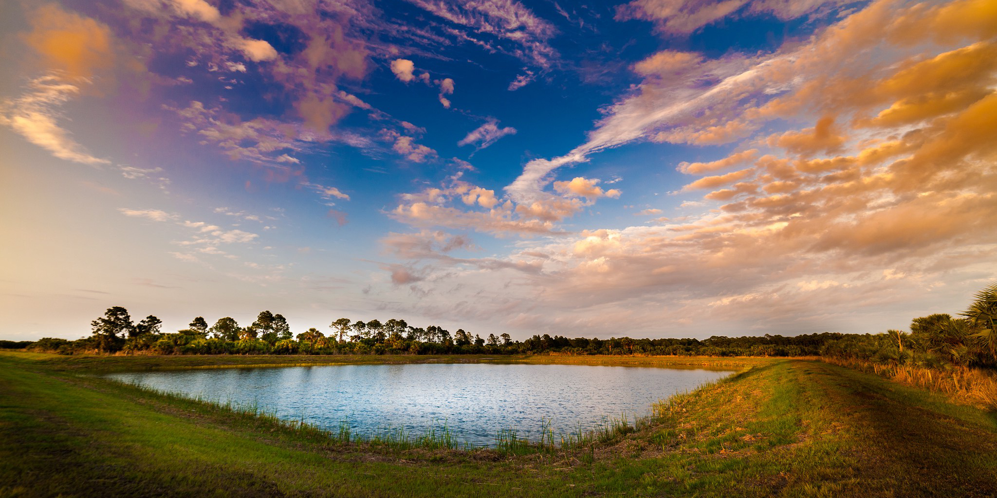 Pond in a field with open space and possibilities